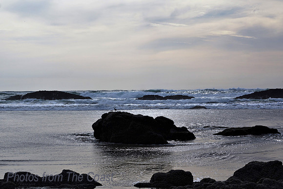 Late Afternoon
