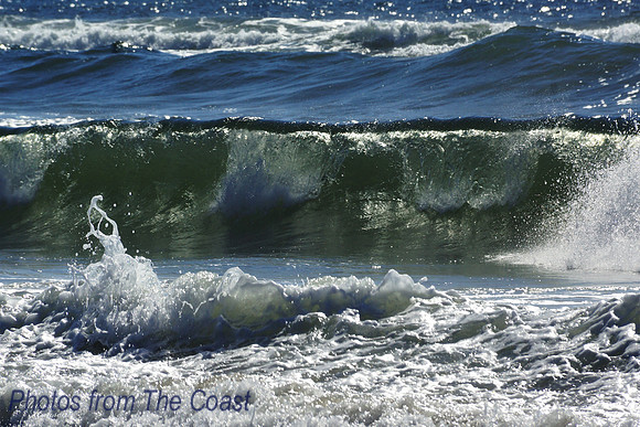 Saltwater & Sunshine