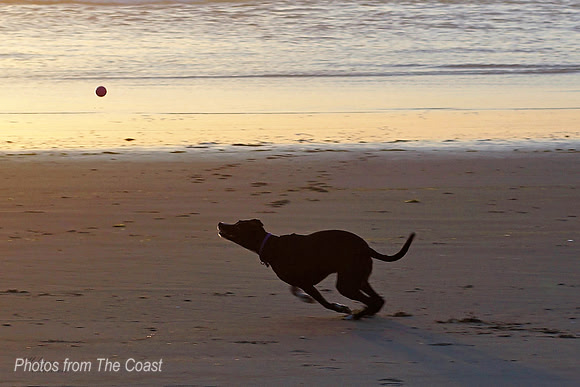 Dusk on The Beach Phil Style