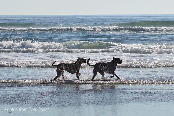 Circe & Phillip run The Shallows