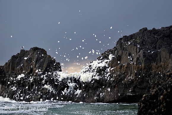 Winter on The Coast