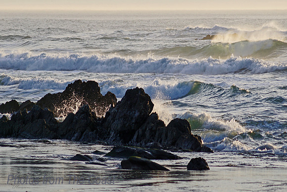 Little Splash