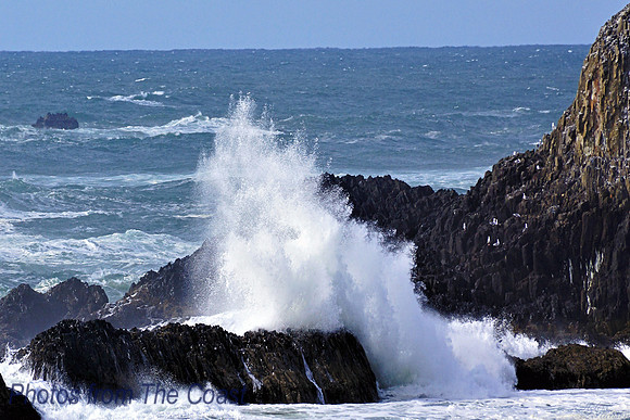 Seal Rock Splash