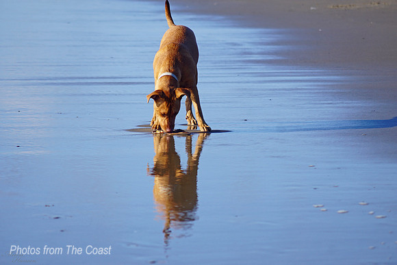 Beach Reflect