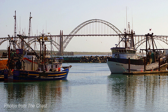 Yaquina Bridge & Bay