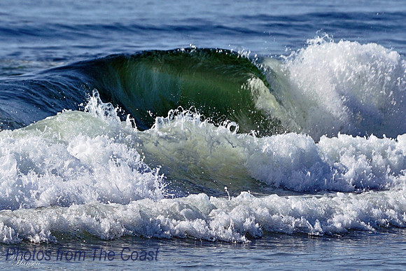 Ocean Curl