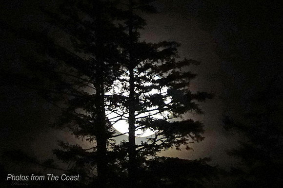 Lovely Full Moon