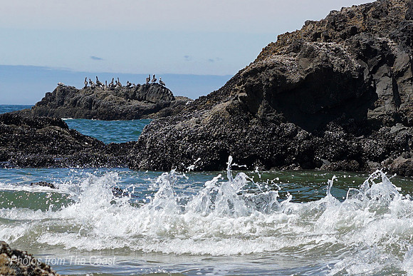 Pelican Rock