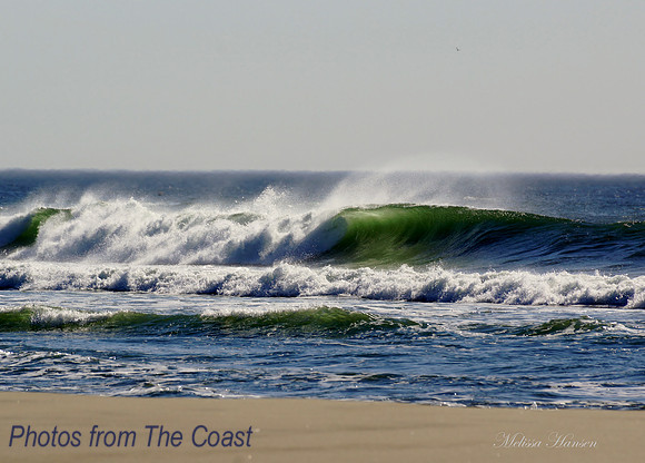 Green Curl with Spray