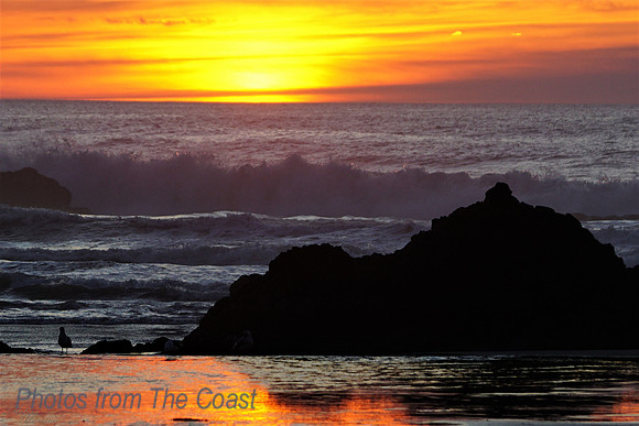 Light on The Coast