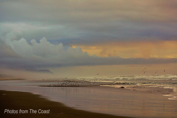 Late Winter Beach