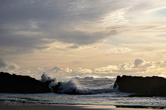 Spring on The Coast
