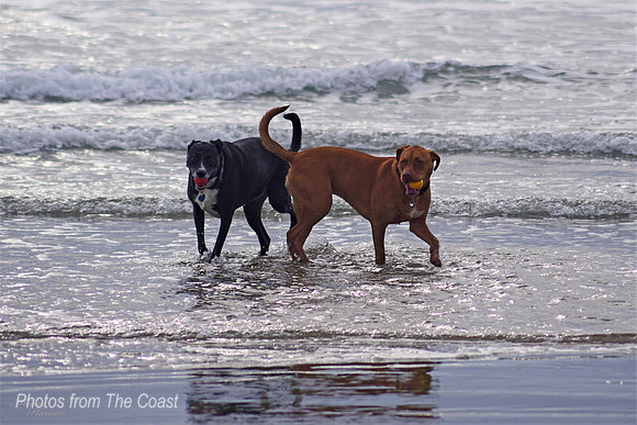 Posing in The Shallows