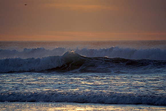 Evening Surf