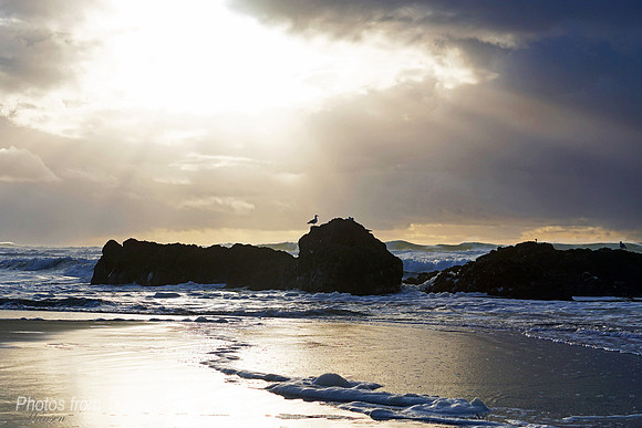 Beautiful Winter Beach