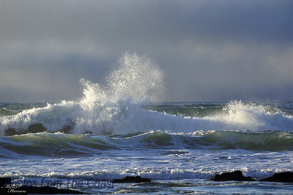 Wild Surf