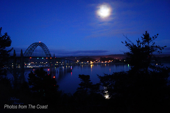 Yaquina Bridge