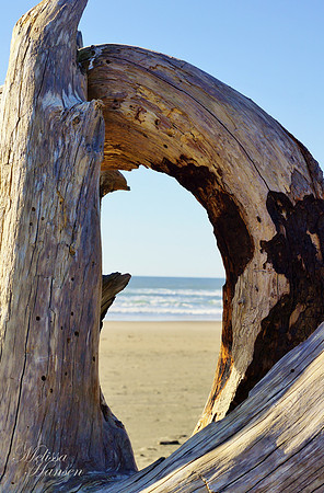 View of The Ocean