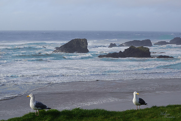 Overlooking a Stormy Ocean