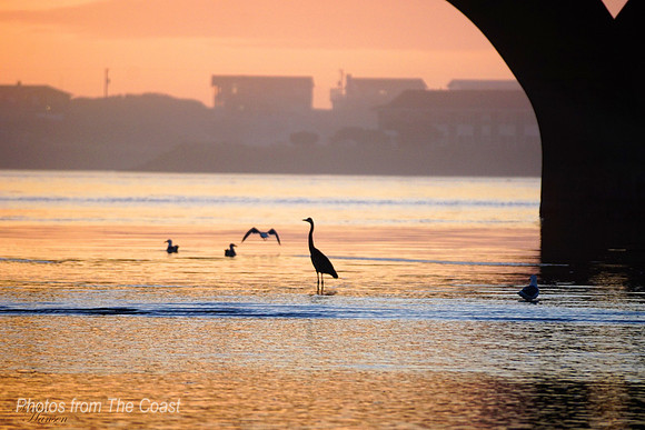 Under the Bridge