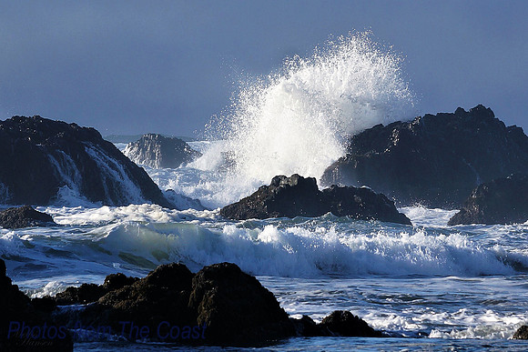 Beautiful Summer Splash