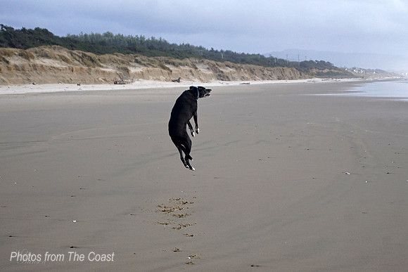 Phil Catching Air