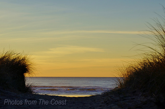 Late Afternoon Trail to The Pacific