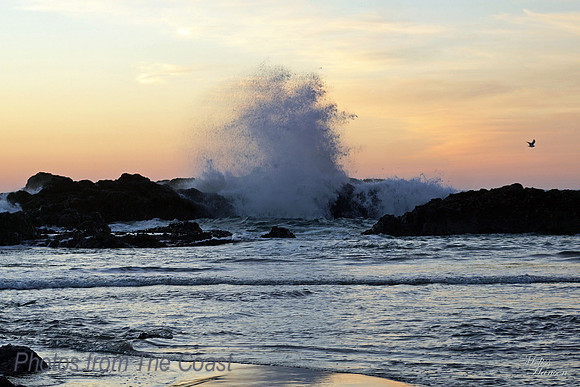 Evening Glow