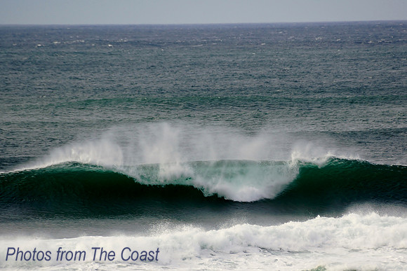Dark Green Christmas Wave