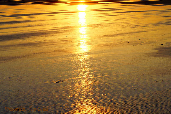 Sunset Reflecting on The Sand