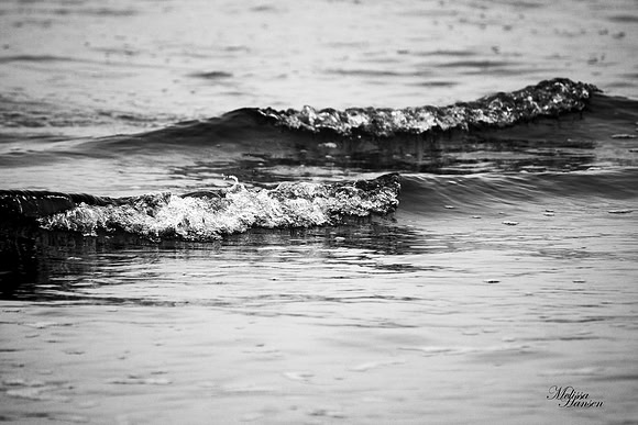 Bay Waves in Black & White
