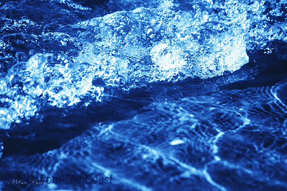 Light in The Ocean Shallows