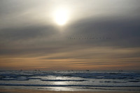 FV on The Horizon