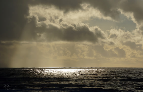 Light on The Pacific