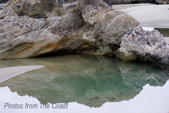 Reflections in a Tide Pool