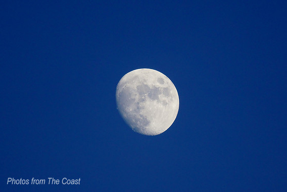 Beautiful Coastal Evening Moon