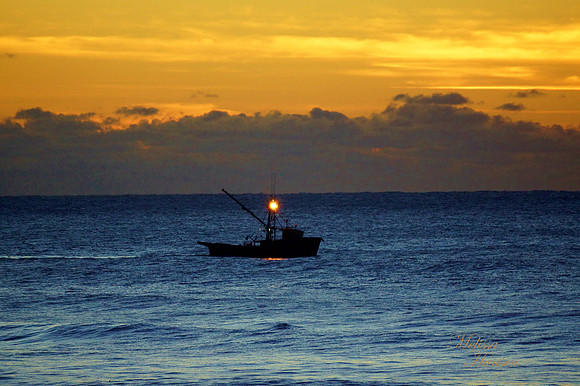 FV at Sunset