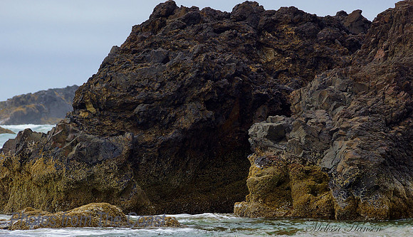 Ocean Cave Emerges at Low Tide