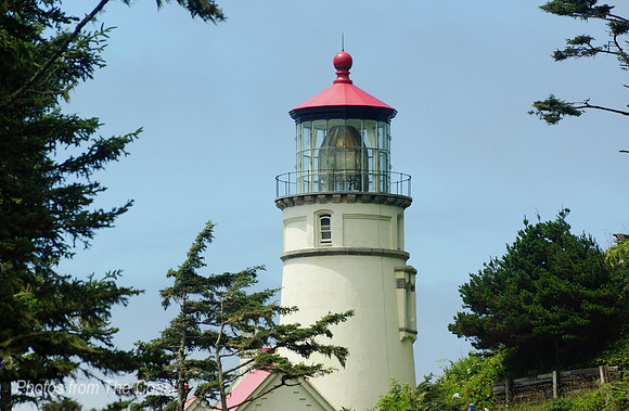 Lighthouse Through the Trees
