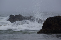 Ocean