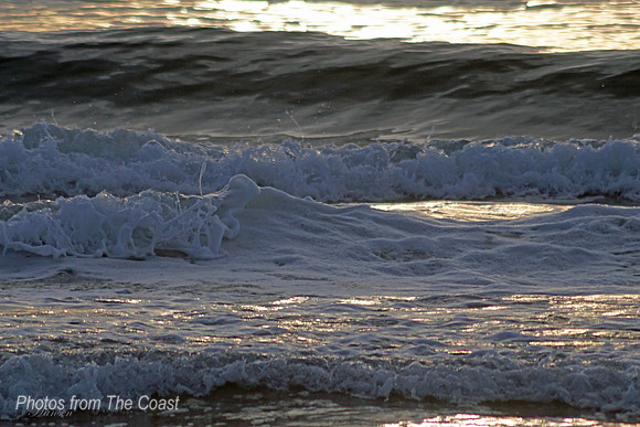 Golden Light